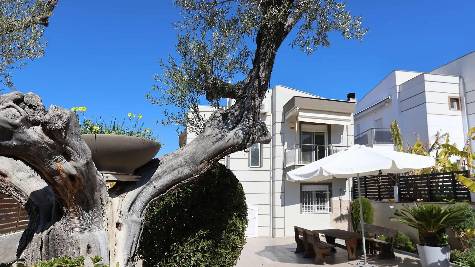 Villa Alto - 4Bdrms, Near Elephant And Mako Beach Bar Pefkochori 0*,  Greece