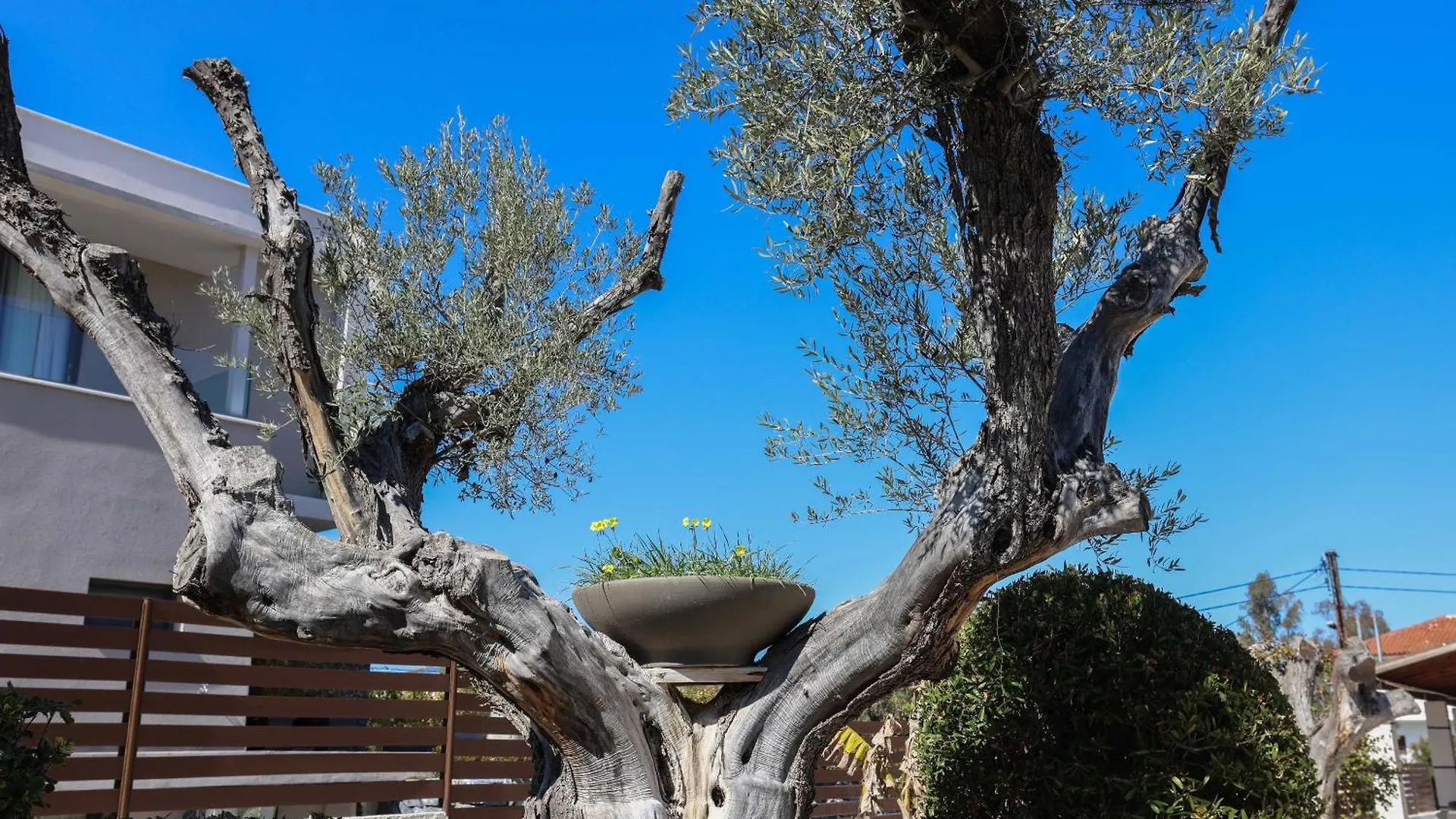 Villa Alto - 4Bdrms, Near Elephant And Mako Beach Bar Pefkochori 0*,
